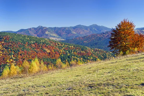 Herbstlandschaft Buntes Laub Auf Den Hügeln — Stockfoto
