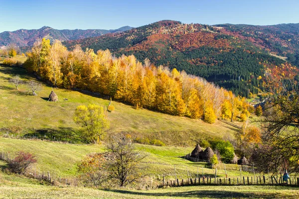 Sonbahar Ağaçlar Manzara Güzel Yeşillik Renkler Haystacks — Stok fotoğraf