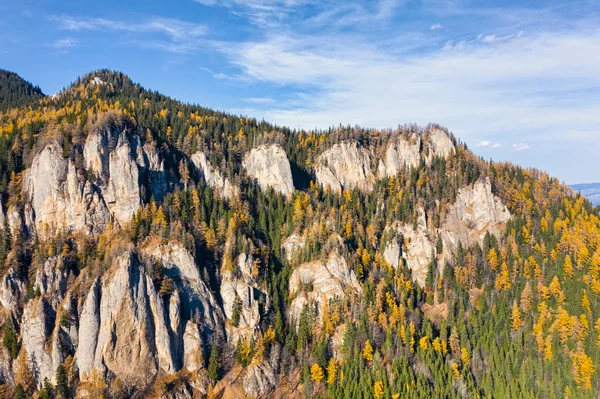 Güzel Larch Ağaçlarda Sonbahar Sarı Herdem Yeşil Orman Kaya Oluşumu — Stok fotoğraf