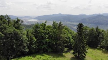 Nehri Vadisi köylere uçan Bahar Orman yukarıda. Romanya'da Bistrita Nehri Vadisi havadan görünümü