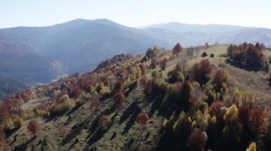 Güzel renkli sonbahar ağaçlar ve tepe üzerinde yığılmış saman yukarıda uçan.
