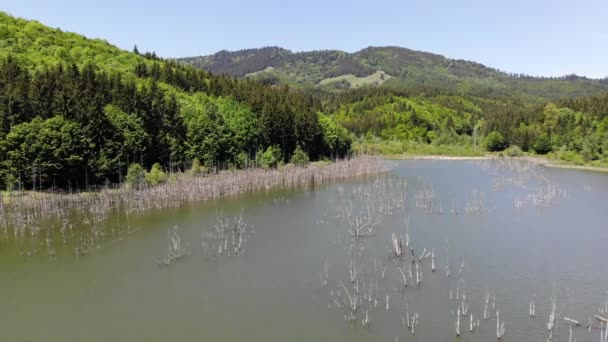 Tote Baumstämme Bergsee Natürlicher Stausee Rumänien Luftaufnahme 1991 Blockierte Ein — Stockvideo