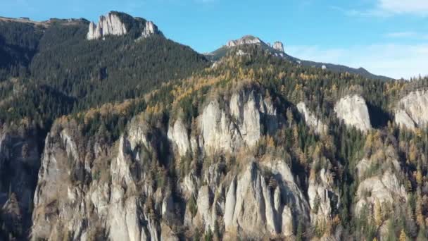 Drone Sluiten Door Herfst Bos Gele Lariks Boom Rotsen Ceahlau — Stockvideo