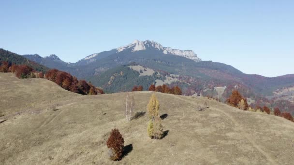 Drone Latający Wzgórzu Jesiennych Liści Pastwiska — Wideo stockowe
