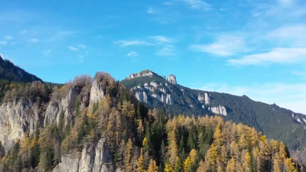 美しい山 黄色いカラマツの木と岩の秋の森のドローンを移動 — ストック動画