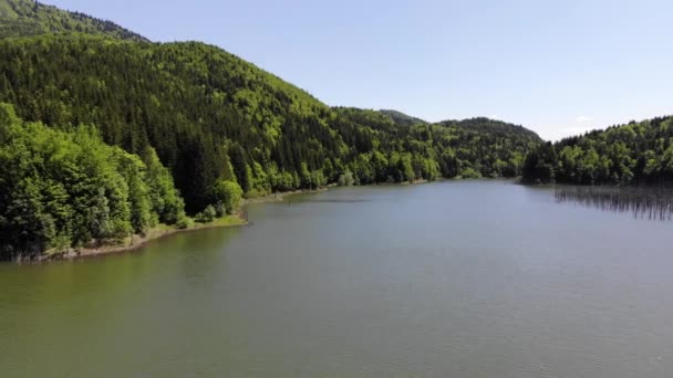 Vliegen Boven Forest Lake Het Voorjaar Cuejdel Lake Geboren Jaar — Stockvideo