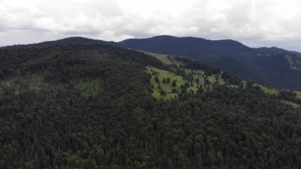 Horský Lesní Scéna Pohled Shora Letní Krajina Mountain Pass Zamračený — Stock video