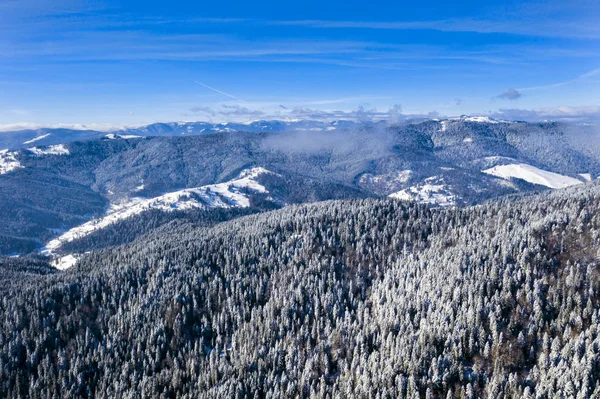 Scène aérienne avec des arbres gelés dans une journée ensoleillée d'hiver — Photo