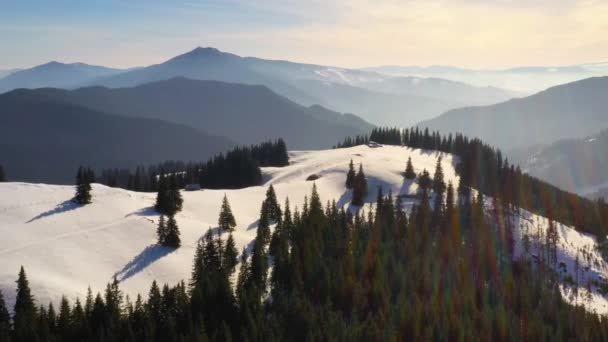Green forest and snowy mountains at sunrise — Stock Video
