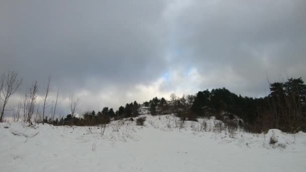 Bosque lapso de tiempo en invierno, nubes en movimiento — Vídeo de stock