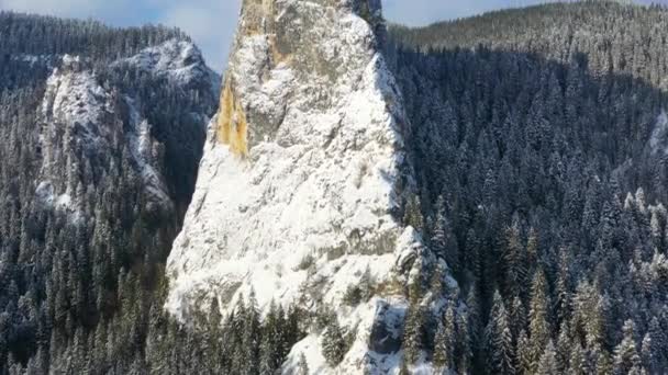 Verplaatsen van de drone in de buurt van winter reusachtige rots, winters tafereel — Stockvideo