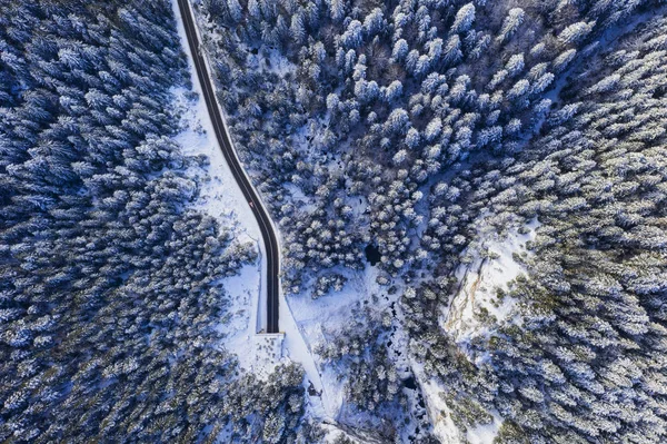 Winter forest, tunnelingang van bovenaf — Stockfoto
