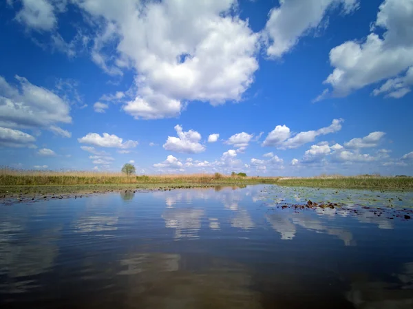 Donau Delta landschaps waterlelies en riet — Stockfoto