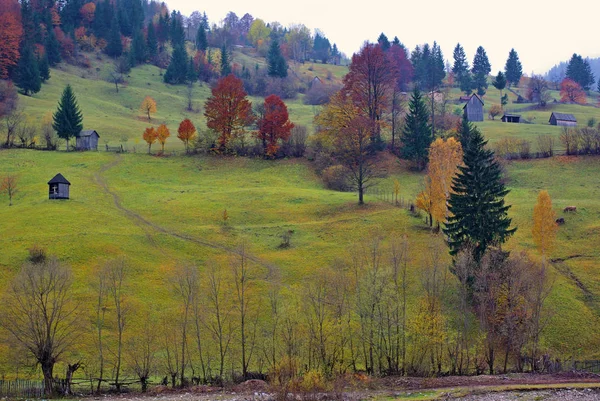 Autumn pasture on the hill — Stock Photo, Image