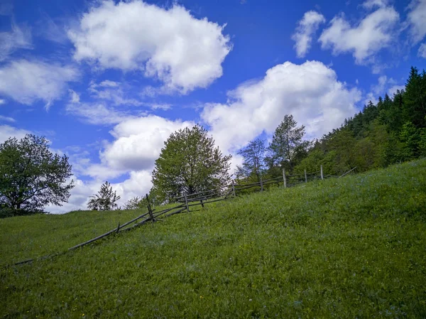Старый деревянный забор на зеленом холме — стоковое фото