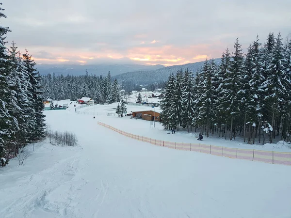 Pista da sci e slittino nella foresta invernale — Foto Stock