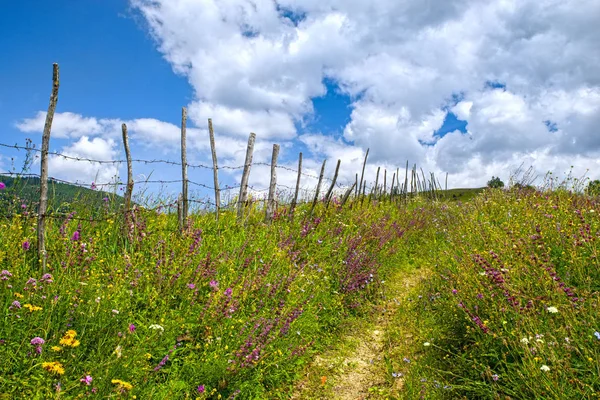 Ścieżka pieszo na pastwiskach w pobliżu ogrodzenia — Zdjęcie stockowe