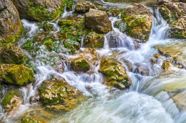 Yaz aylarında bahar su dağ nehri