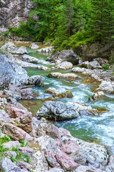 Felsiger Gebirgsfluss im Sommer — Stockfoto