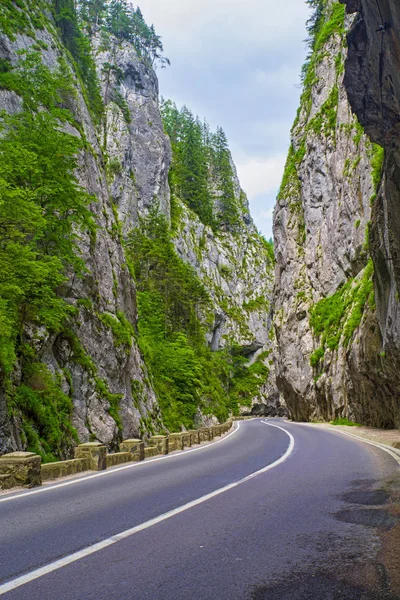 Vertical cliff in Bicaz Gorge — Stock Photo, Image