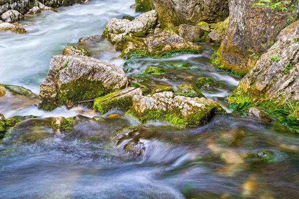 Letní scéna skalnatého horského řeka — Stock fotografie