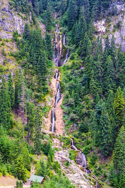 Waldwasserfall im Sommerberg — Stockfoto