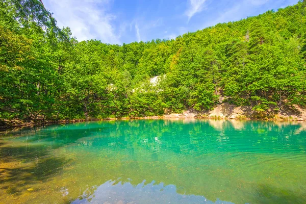 Зеленое озеро в летнем лесу — стоковое фото
