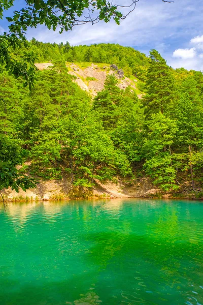 Lago del bosque de verano en Rumania —  Fotos de Stock
