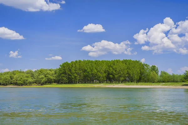 Bos rivier landschap in een zonnige zomerdag — Stockfoto