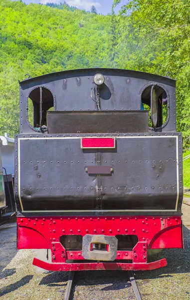 森の中の黒い蒸気機関車 — ストック写真