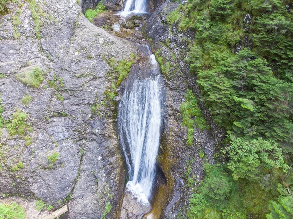 Cascada Del Arroyo Agua Roca Montaña Verano Cárpatos Rumanos — Foto de Stock