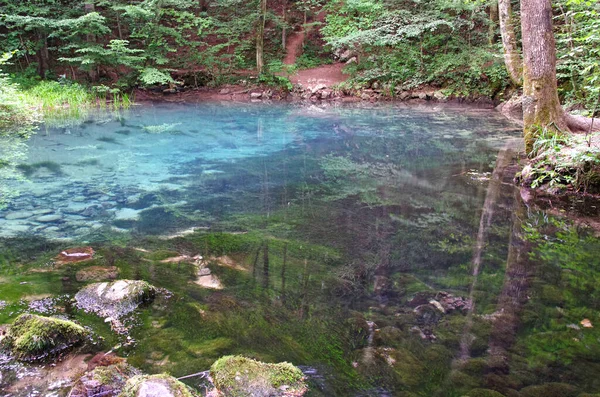 Jasné Modré Jezero Letním Lese Významná Památka Rumunsku Ochiul Beeiului — Stock fotografie