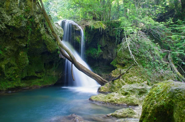 Vodní Potok Padající Letním Lese Vaioaga Orientační Vodopád Rumunských Karpat — Stock fotografie