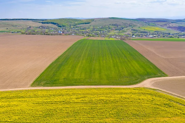 レイプやトウモロコシ畑や背後の村の空中風景 — ストック写真