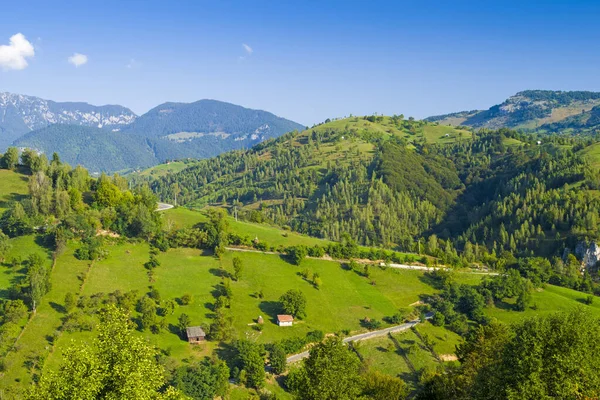 Kırsal Kesimde Yeşil Tepeler Romen Karpatlar Yaz Manzarası — Stok fotoğraf