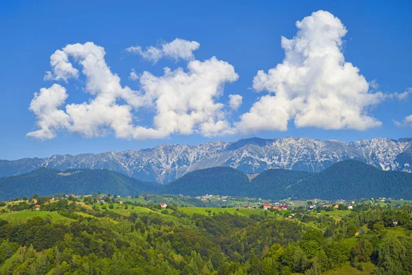 Domy Letnich Wzgórzach Górach Tle Zielony Krajobraz Karpatach Rumuńskich — Zdjęcie stockowe