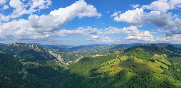 Горные Пастбища Леса Румынских Карпатах Летний Пейзаж — стоковое фото