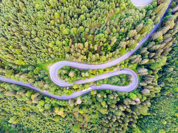 View Curvy Road Green Forest Area — Stock Photo, Image