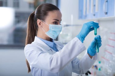 Laboratuar araştırmaları. Şirin akıllı makul şişeleri elinde tutan ve üzerinde konsantre laboratuvar çalışma gazlı bez maskeli bilimsel.