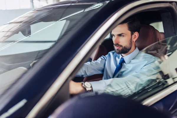 Portrait Caucasian Businessman Driving Car — Stock Photo, Image
