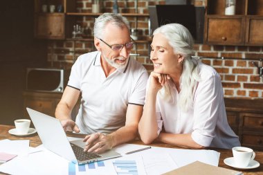 two senior architects using laptop computer at home office