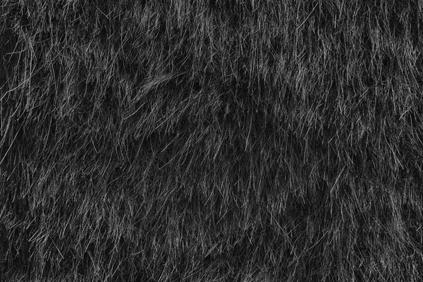 Monochrome Dry straw grass background, hay texture after havest — Stock Photo, Image