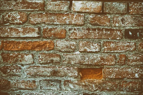 Grunge textura de la pared de ladrillo, fondo de cemento para el sitio web o dispositivos móviles — Foto de Stock
