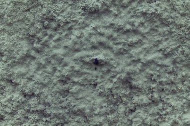 Çimento-Beton Sanayi doku, sıva arka plan ve kaya yüzeyi