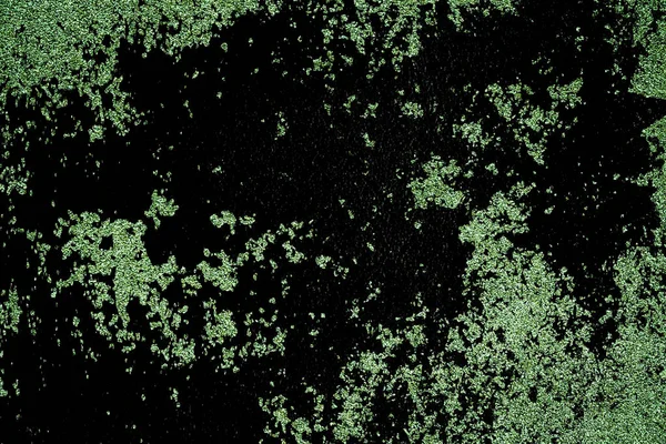 コンクリート グランジ ウルトラ グリーン テクスチャ石表面をラフ、背景をセメント — ストック写真