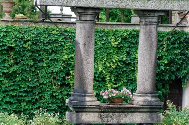 Kamu parkı, ağaçlar çiçek ve bahçe ortamında yeşil sahne.