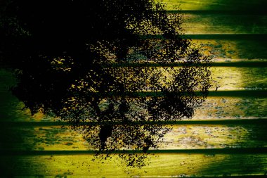 Web sitesi veya mobil cihazlar, tasarım öğesi için tahta doku ahşap Bank