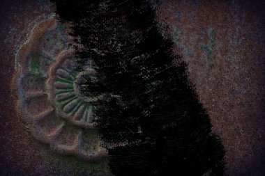 Süslü taş doku, daire rock şekil, web sitesi veya mobil cihazlar için arka plan