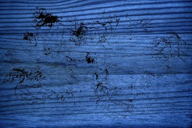 Tahta yüzey tasarım öğeleri için kesme kirli Ultra mavi ahşap doku,