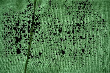 Grunge Ultra yeşil keten kumaş yüzeyi, kitap kapağı örnek, renk örneği mock-up veya Tasarımcısı'nı kullanmak için